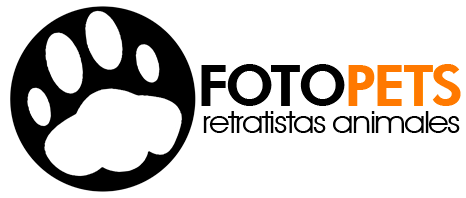 Fotopets - Proyecto Invisibles